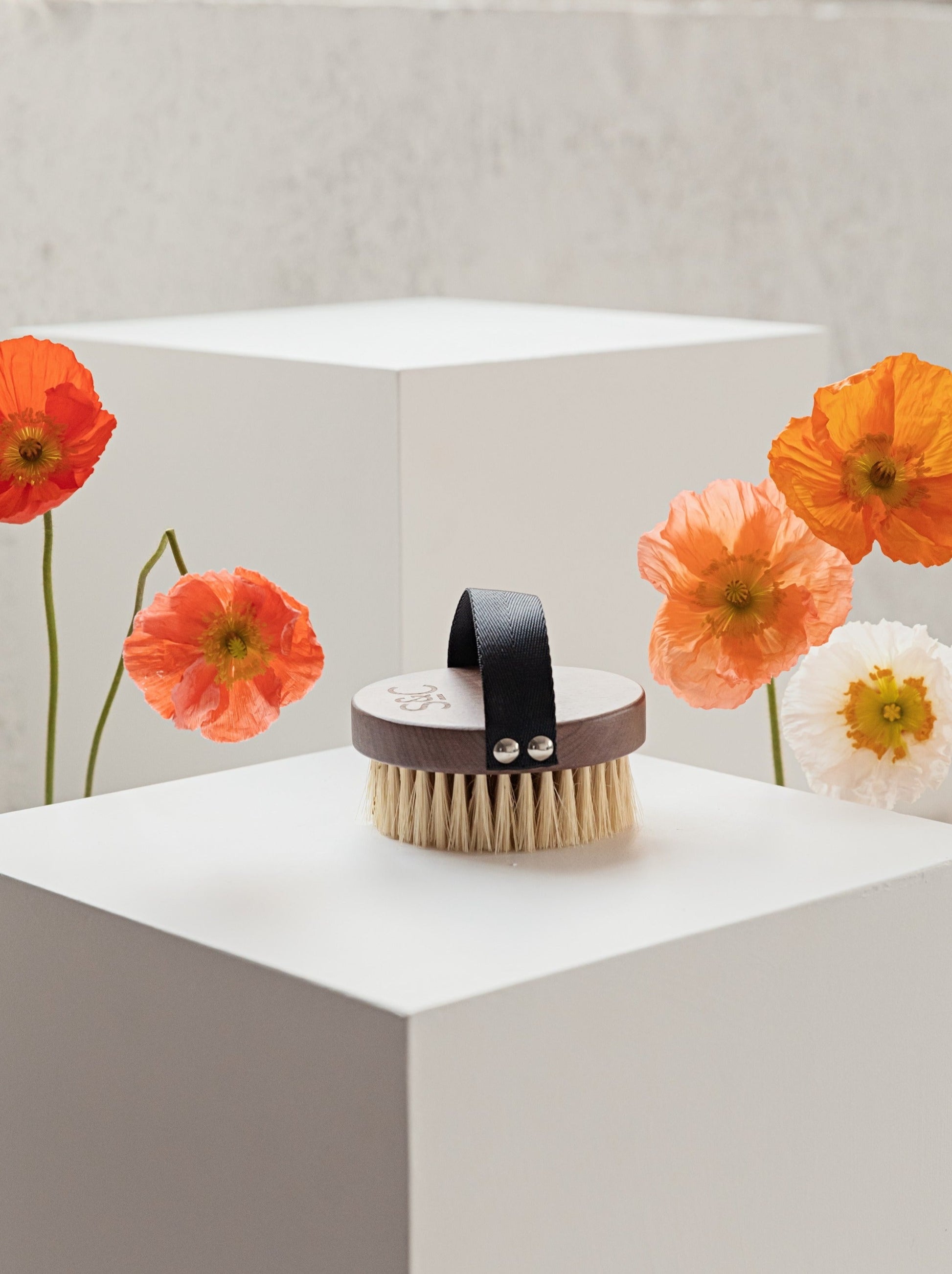 Dry body brush sitting on a white plinth with poppies either side