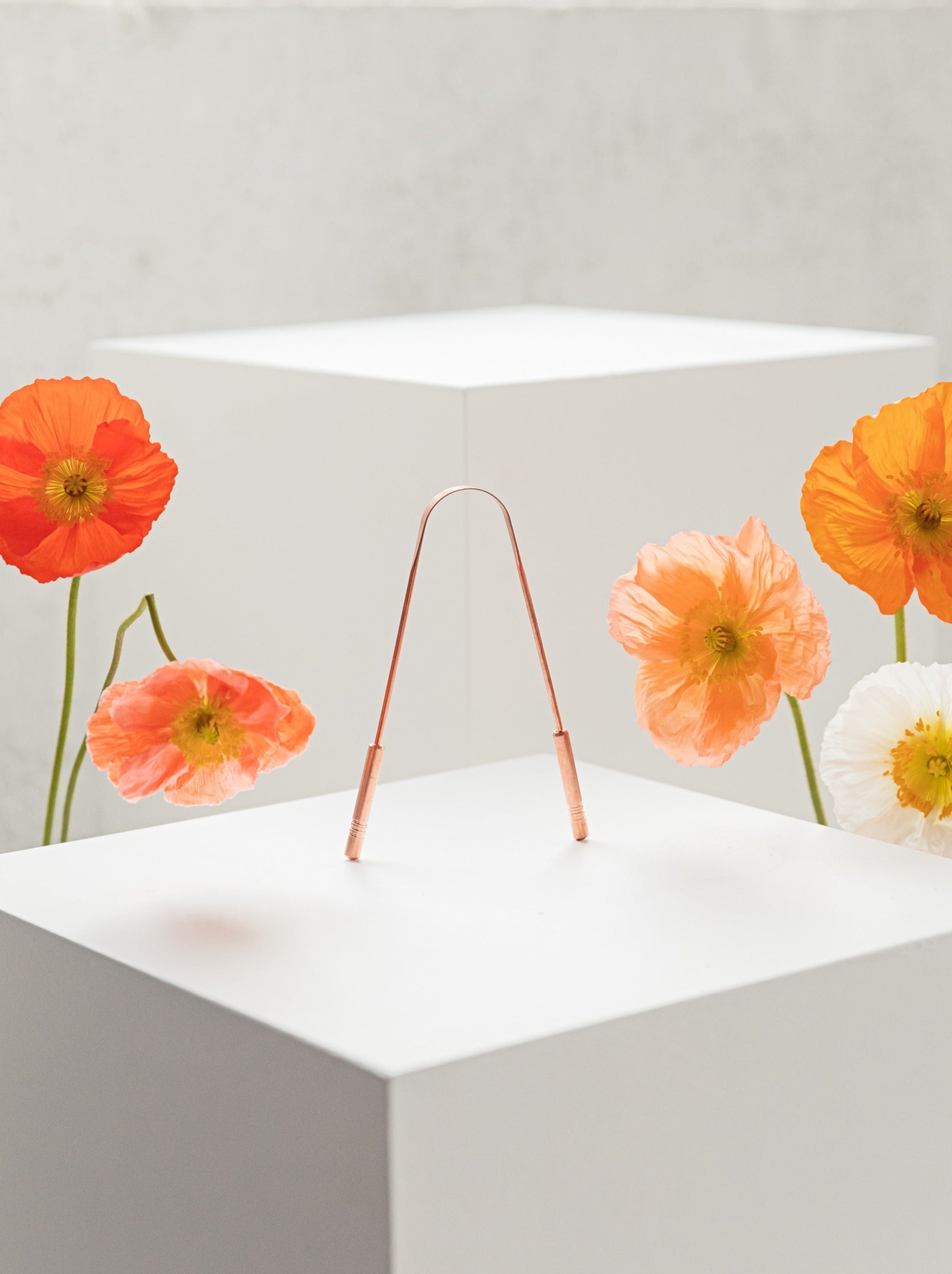 Copper tongue cleaner balancing on a white plinth with fresh poppies either side