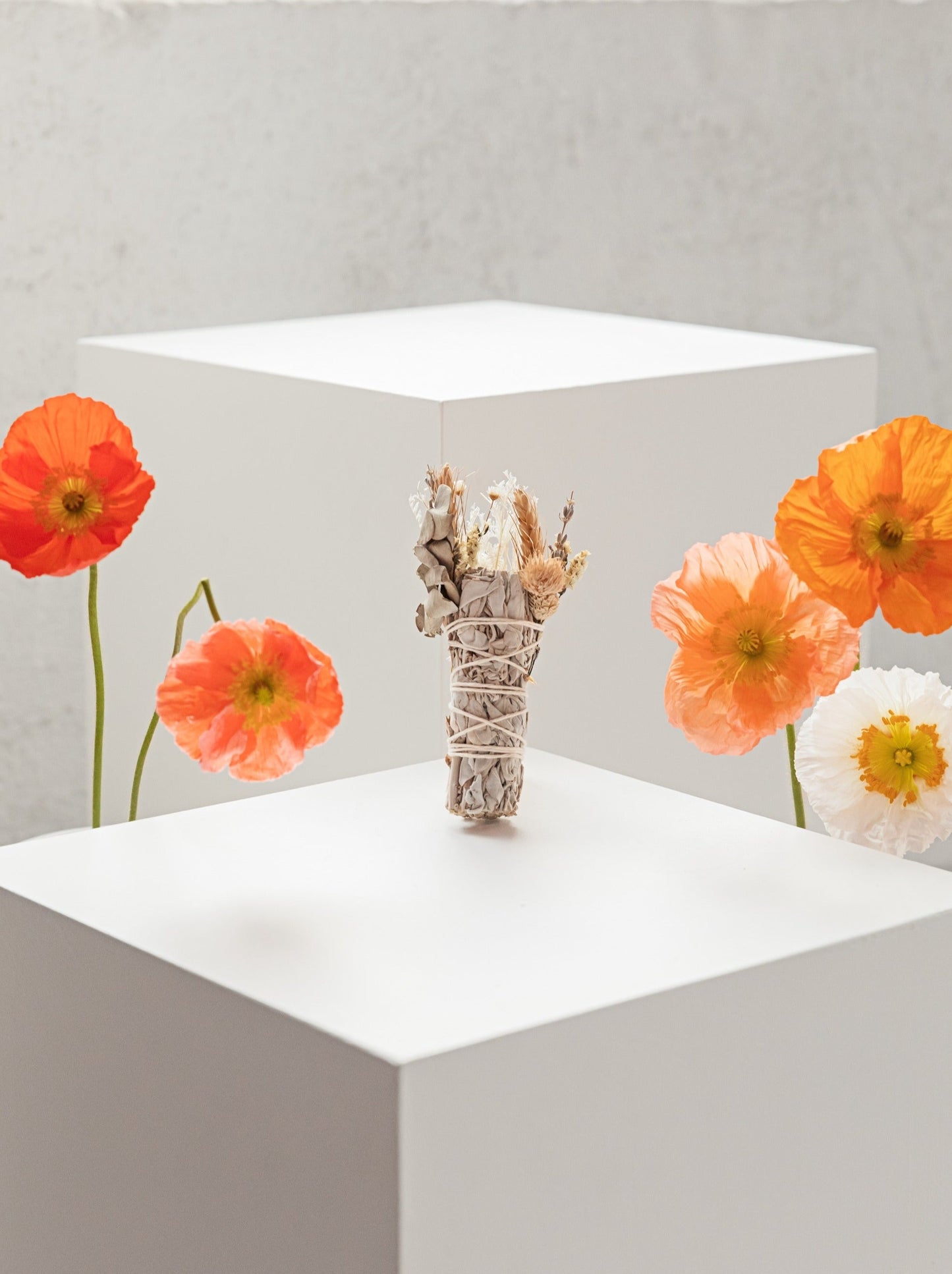 White sage smudge stick standing on a white plinth with poppies either side