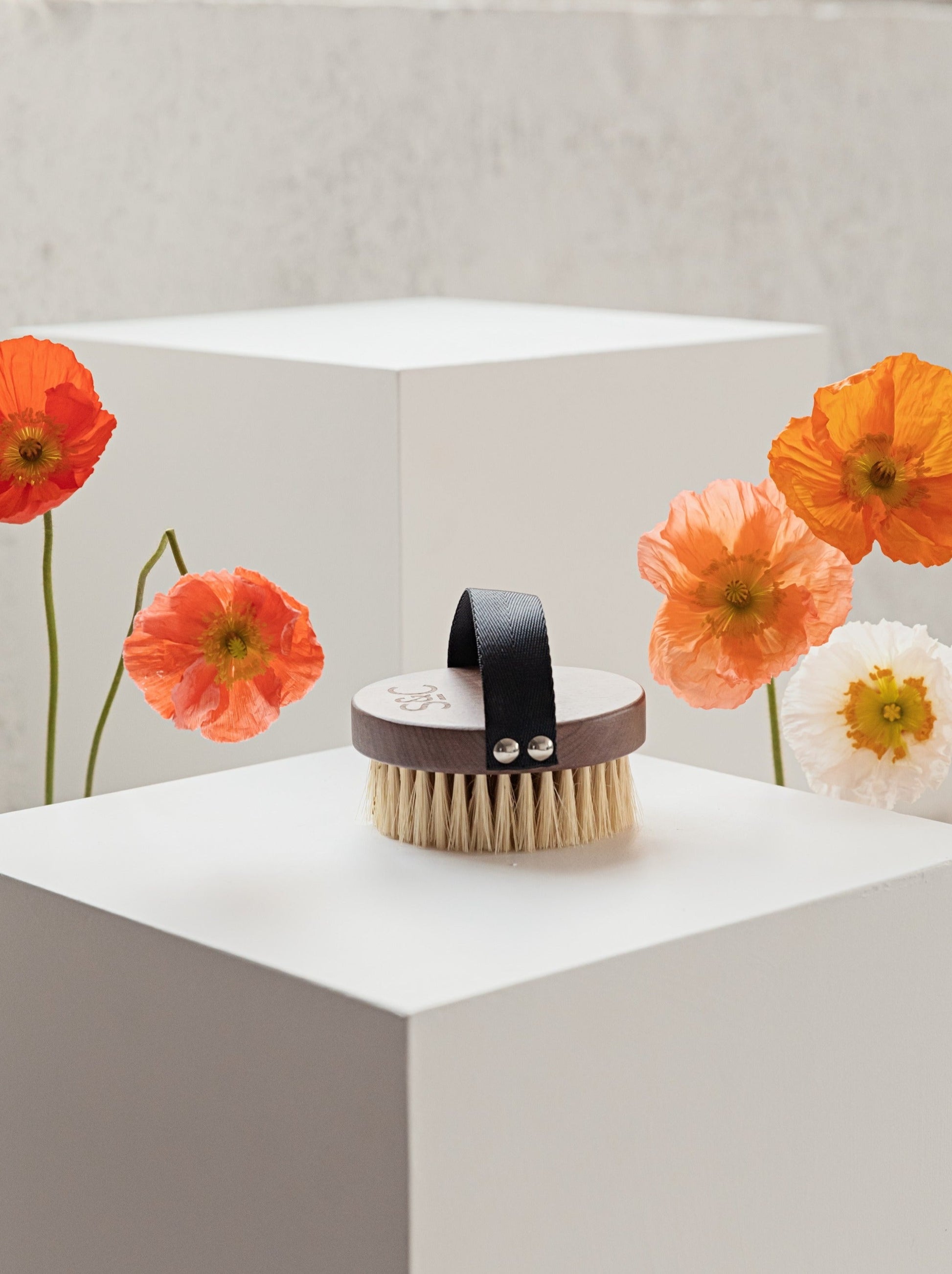 Dry body brush sitting on a white plinth with poppies either side 